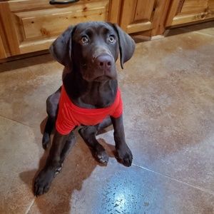 Meet your Posher, Staci